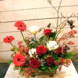 【お店の開店祝いやお誕生日祝いのプレゼントに】クリスマスガーデン(アレンジメント)